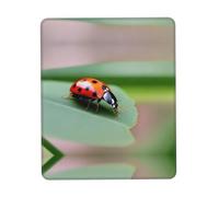 POEZJZW Ladybug On Plant Pattern Mouse Pad Non-Slip Rubber Stitched Edges Waterproof Gaming Mouse Mat for Desk Gaming Work Wireless Mice 7.9 X 9.5 in