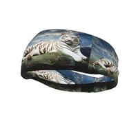 Poezjzw Majestic Tiger Resting On A Rock With Cloudy Sky Pattern Sports Headband Suitable For Running Yoga Running Cycling Elastic Moisture Band