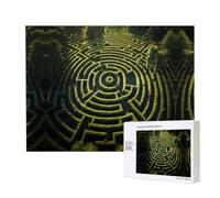 Poezjzw Mazes Puzzles For Adult 500 Pieces Wooden Jigsaw For Family Friend Home Decor Wall Art 20.4 X 15 In