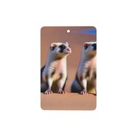 Poezjzw Meerkat Looking At The Desert Pattern Car Air Fresheners 6 Pcs Rectangle Hanging Aromatherapy Tablets Scented Fresheners For Bedroom Bathroom