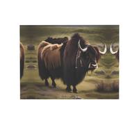 POEZJZW Mighty Highland Yak Canvas Wall Art Poster Modern Decor Pictures For Living Room Bedroom Office Unframed (12 X 16 In/30 X 40 Cm)