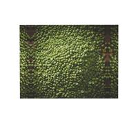 POEZJZW Mung Beans Canvas Wall Art Poster Modern Decor Pictures For Living Room Bedroom Office Unframed (12 X 16 In/30 X 40 Cm)