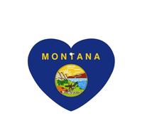 Poezjzw Nebraska State Flag Pattern Car Air Fresheners 6 Pcs Heart Shape Hanging Aromatherapy Tablets Scented Fresheners For Bedroom Bathroom