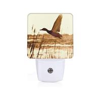 POEZJZW Night Light Duck Fly Upon River Pattern Smart Led Dusk to Dawn Sensor for Corridors Bedrooms Children's Rooms Kitchens Stairs