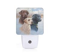 POEZJZW Night Light Labrador Dogs Pattern Smart Led Dusk to Dawn Sensor for Corridors Bedrooms Children's Rooms Kitchens Stairs