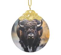 Poezjzw North American Bison Pattern Glass Christmas Ornament Round Hanging Pendant Gifts For Xmas Holidays Ornaments Home Decor Gold Metal Buckle