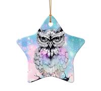 Poezjzw Owl Tree Branch Pattern Ceramic Star Shape Christmas Tree Ornaments, Family New Year Home Souvenirs For Gatherings