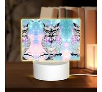 POEZJZW Owl Tree Branch Pattern Rectangular Acrylic Night Light Touch Switch Accent for Bookshelves Desks Nightstands