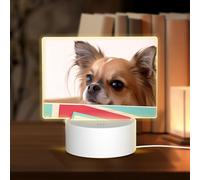 POEZJZW Papillon in The Box Pattern Led Lamp Base Night Light Acrylic USB 3 Mode for Room Cafe Bar Birthday Party