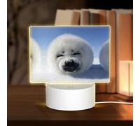 POEZJZW Polar Bear Pattern Led Lamp Base Night Light Acrylic USB 3 Mode for Room Cafe Bar Birthday Party