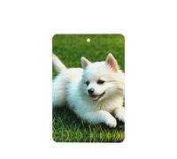 Poezjzw Puppy In The Grass Pattern Car Air Fresheners 6 Pcs Rectangle Hanging Aromatherapy Tablets Scented Fresheners For Bedroom Bathroom