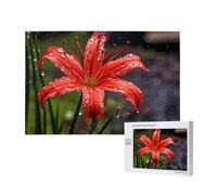 Poezjzw Puzzles For Adults 1000 Pieces Suitable For Family Leisure And Improving Hands-On Ability Red Lilies In Bloom Pattern