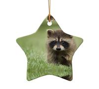 Poezjzw Raccoon Pattern Christmas Star Shape Ceramic Ornaments Christmas Tree Hanging Home Decoration Gatherings Souvenirs