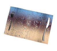 Poezjzw Rain Drops On Glass Pattern Placemats Set Of 6 Non Slip Heat Resistant Polyester Table Mats Washable Place Mats For Dinner Party Table Decoration