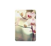 Poezjzw Rectangle Lavender Scent Car Air Fresheners An Orchid. Pattern 4 Pcs Aromatherapy Tablets For Wardrobe Shoe