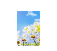 Poezjzw Rectangle Lavender Scent Car Air Fresheners Butterfly On Daisy Pattern 4 Pcs Aromatherapy Tablets For Wardrobe Shoe Cabinet Eliminate