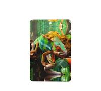 Poezjzw Rectangle Lavender Scent Car Air Fresheners Cute Chameleon Pattern 6 Pcs Aromatherapy Tablets For Wardrobe Shoe Cabinet Eliminate