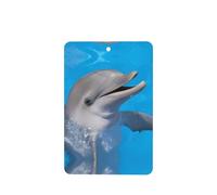 Poezjzw Rectangle Lavender Scent Car Air Fresheners Dolphin With A Smile Pattern 4 Pcs Aromatherapy Tablets For Wardrobe Shoe Cabinet Eliminate