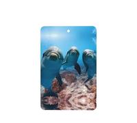 Poezjzw Rectangle Lavender Scent Car Air Fresheners Funny Dolphin Looking At You Pattern 4 Pcs Aromatherapy Tablets For Wardrobe Shoe Cabinet Eliminate