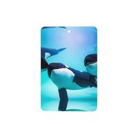 Poezjzw Rectangle Lavender Scent Car Air Fresheners Killer Whale Pattern 6 Pcs Aromatherapy Tablets For Wardrobe Shoe Cabinet Eliminate