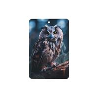 Poezjzw Rectangle Lavender Scent Car Air Fresheners Owl Listening Pattern 6 Pcs Aromatherapy Tablets For Wardrobe Shoe