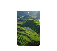 Poezjzw Rectangle Lavender Scent Car Air Fresheners Stepped Fields Pattern 4 Pcs Aromatherapy Tablets For Wardrobe Shoe