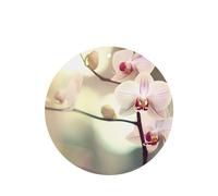 Poezjzw Round Shape Lavender Scent Car Air Fresheners An Orchid. Pattern 4 Pcs Aromatherapy Tablets For Wardrobe Shoe