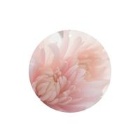 Poezjzw Round Shape Lavender Scent Car Air Fresheners Anus Pattern 4 Pcs Aromatherapy Tablets For Wardrobe Shoe