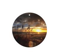 Poezjzw Round Shape Lavender Scent Car Air Fresheners Calm Coastal Scene Pattern 6 Pcs Aromatherapy Tablets For Wardrobe Shoe Cabinet Eliminate