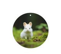 Poezjzw Round Shape Lavender Scent Car Air Fresheners Cute White Rabbit Pattern 4 Pcs Aromatherapy Tablets For Wardrobe Shoe