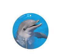Poezjzw Round Shape Lavender Scent Car Air Fresheners Dolphin With A Smile Pattern 4 Pcs Aromatherapy Tablets For Wardrobe Shoe Cabinet Eliminate