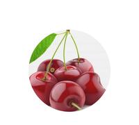 Poezjzw Round Shape Lavender Scent Car Air Fresheners Fresh Cherry Pattern 6 Pcs Aromatherapy Tablets For Wardrobe Shoe Cabinet Eliminate