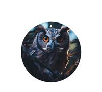 Poezjzw Round Shape Lavender Scent Car Air Fresheners Owl'S Eyes Pattern 6 Pcs Aromatherapy Tablets For Wardrobe Shoe