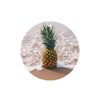 Poezjzw Round Shape Lavender Scent Car Air Fresheners Pineapple On Beach Pattern 6 Pcs Aromatherapy Tablets For Wardrobe Shoe Cabinet Eliminate