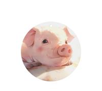 Poezjzw Round Shape Lavender Scent Car Air Fresheners The Pigs Are Looking. Pattern 6 Pcs Aromatherapy Tablets For Wardrobe Shoe