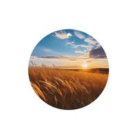 Poezjzw Round Shape Lavender Scent Car Air Fresheners Wheat Wave Pattern 4 Pcs Aromatherapy Tablets For Wardrobe Shoe