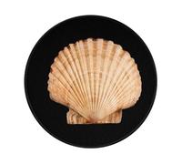 POEZJZW Scallop Seashell Pattern Round Non-Slip Rubber Base Small Mouse Pad Suitable For Games Computer Laptop 7.9x7.9 In