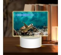 POEZJZW Sea Turtle Pattern Rectangular Acrylic Night Light Touch Switch Accent for Bookshelves Desks Nightstands