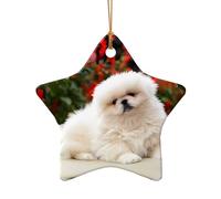 Poezjzw Short-Haired Pomeranian Dog Pattern Christmas Star Shape Ceramic Ornaments Christmas Tree Hanging Home Decoration Gatherings Souvenirs