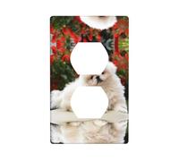 Poezjzw Short-Haired Pomeranian Dog Pattern Wall Plateoutlet Cover, Decorative Wall Plate Size 4.5x2.76 in for Residential and Commercial Areas