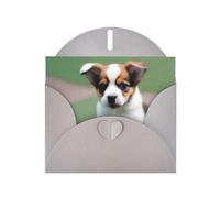 POEZJZW Shy Puppy Pearl Paper Christmas Cards, With Gray Envelopes, Thank You Cards, Wedding, Valentine'S Day Cards 10-Count
