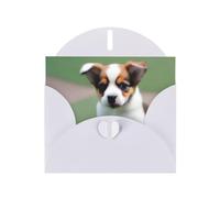 POEZJZW Shy Puppy Pearl Paper Christmas Cards, With White Envelopes, Thank You Cards, Wedding, Valentine'S Day Cards 10-Count