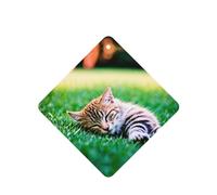 Poezjzw Sleeping Kitten Pattern Car Air Fresheners 6 Pcs Square Hanging Aromatherapy Tablets Scented Fresheners For Bedroom Closet Shoe