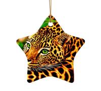 Poezjzw Spotted Leopard Pattern Ceramic Christmas Ornament Star Shape Hanging Pendant Gifts For Xmas Holidays, Ornaments For Home Decor
