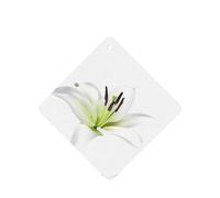 Poezjzw Square Lavender Scent Car Air Fresheners Beautiful-Lilies Pattern 6 Pcs Aromatherapy Tablets For Wardrobe Shoe Cabinet Eliminate