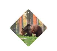 Poezjzw Square Lavender Scent Car Air Fresheners Brown Bear Pattern 6 Pcs Aromatherapy Tablets For Wardrobe Shoe Cabinet Eliminate