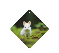 Poezjzw Square Lavender Scent Car Air Fresheners Cute White Rabbit Pattern 4 Pcs Aromatherapy Tablets For Wardrobe Shoe
