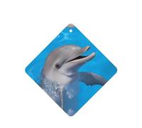 Poezjzw Square Lavender Scent Car Air Fresheners Dolphin With A Smile Pattern 4 Pcs Aromatherapy Tablets For Wardrobe Shoe Cabinet Eliminate