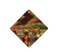 Poezjzw Square Lavender Scent Car Air Fresheners Funny Green Frogs Pattern 6 Pcs Aromatherapy Tablets For Wardrobe Shoe Cabinet Eliminate