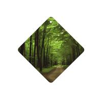 Poezjzw Square Lavender Scent Car Air Fresheners Green Country Road Pattern 6 Pcs Aromatherapy Tablets For Wardrobe Shoe Cabinet Eliminate